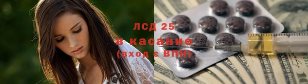 стаф Михайлов
