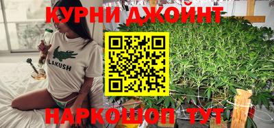 ешки Дубна