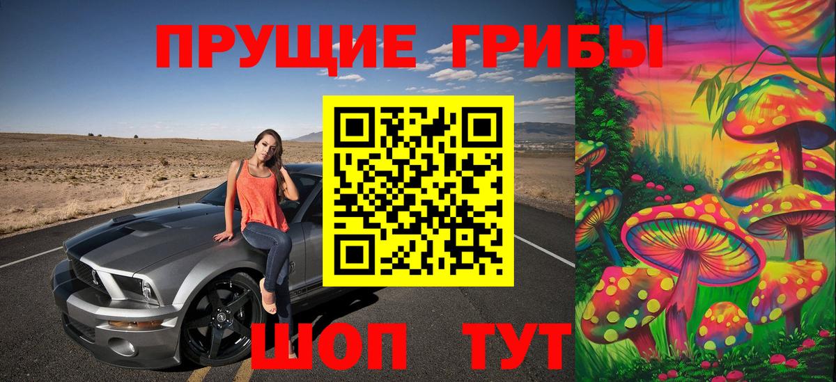 Галлюциногенные грибы Psilocybine cubensis  Нижневартовск 